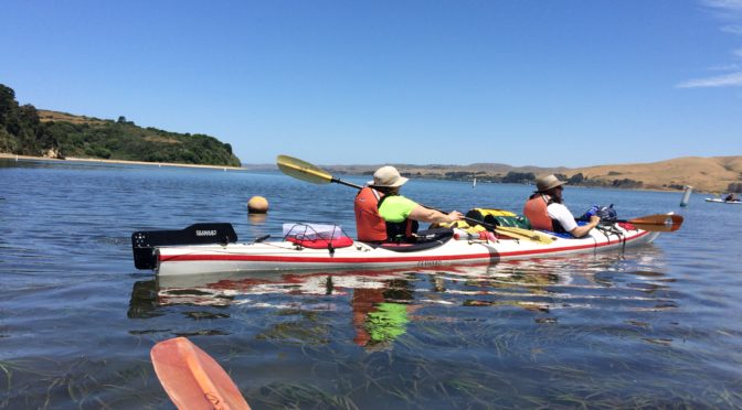 June Sea Kayaking Adventure Packed with Laughter & Learning