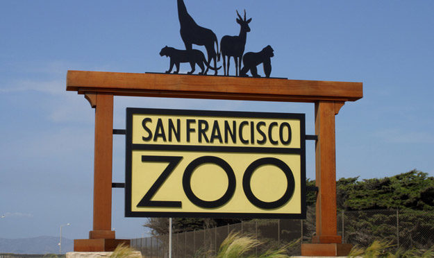 Explore Animals by Touch as LightHouse Youth, Their Families and Exploratorium go to the San Francisco Zoo