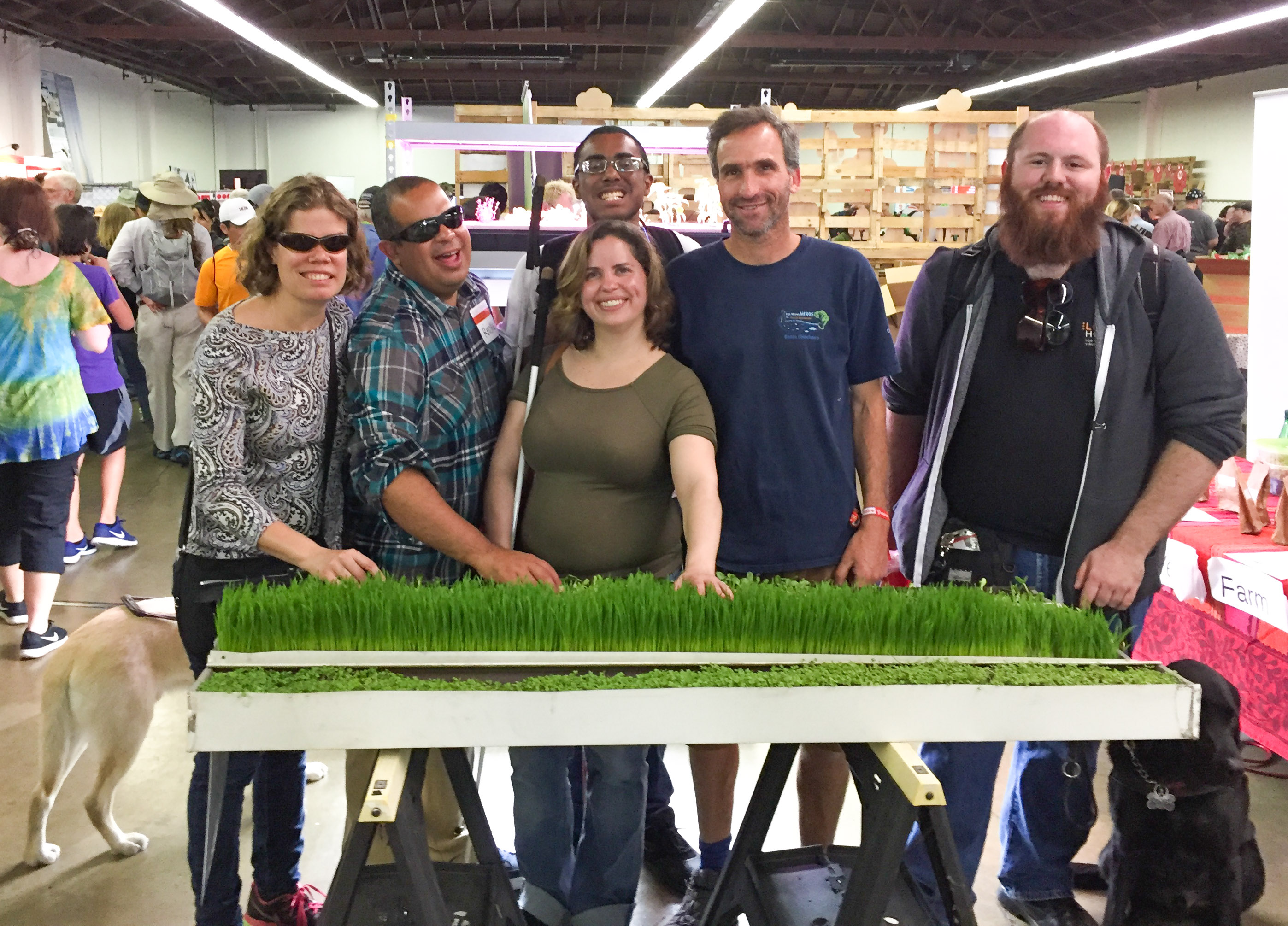 A group of participants and LightHouse Staff including Youth Services Coordinators Richie Flores and Jamey Gump, and Director of Access Technology Erin Lauridsen feel lush blades of grass in a aquaponics display.