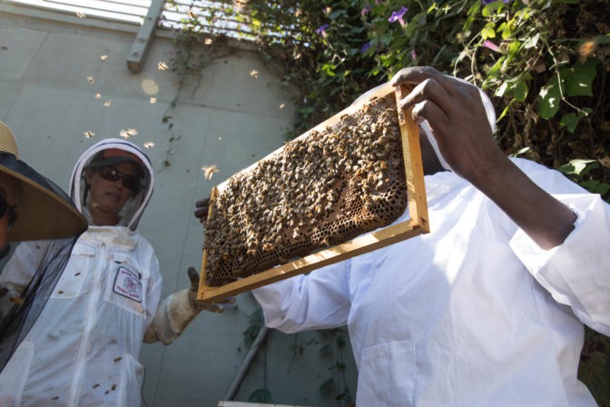 Ojok holds up a beehive in a wooden frame for everyone to examine.