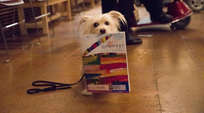 Chief, a little white terrier mutt, holds the Superfest program in his mouth, posing for the camera. Chief was the subject of 2017 Superfest short documentary named after its furry protagonist.