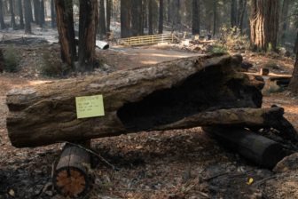 A note on the back of the partially charred Redwood Grove sign, which was hand carved by blind woodworker George Wurtzel, reads: “LAFD Engine 98. We saved this, wish we could have saved more.”