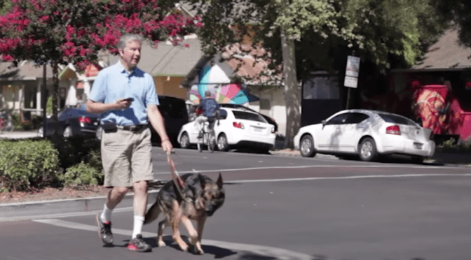 Mike May crosses the street with his guide dog.
