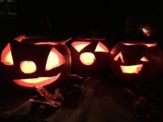an array of carved pumpkins glow in the dark.