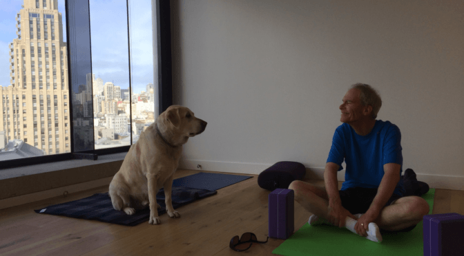 A man sits on a yoga mat with his legs crossed. He smiles at a golden Labrador, who looks back at him.