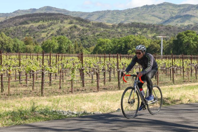 LightHouse Board member Eric Mah cycles past a gorgeous vineyard at the Cycle for Sight.
