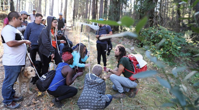 A group of campers who are blind and low vision explore flora at Enchanted Hills Camp while the sunrays peek through redwood trees in the background.