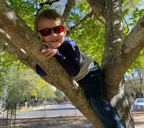 Little Learner lays in a tree