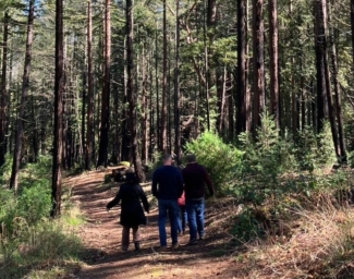 Members of the LightHouse Gala team walk the trails of EHC, surrounded by redwood trees