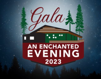 A drawing of a cabin surrounded by redwood trees. Print says “Gala, An Enchanted Evening 2023”. On the cabin, are the letters “EHC” in Braille