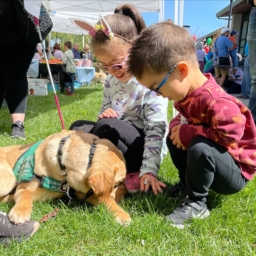 Two Little Learners kneel on the grass next to a yellow lab service dog who is off-harness