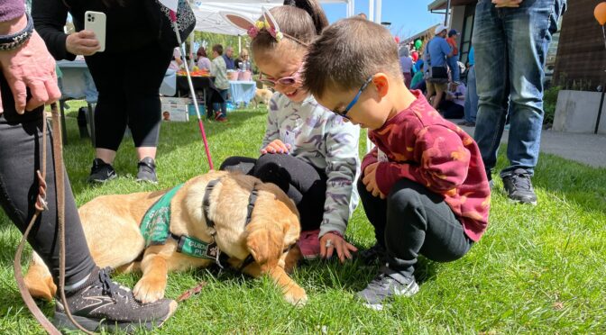 Two Little Learners kneel on the grass next to a yellow lab service dog who is off-harness