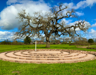An image of the spiral-like designed Labyrinth on the EBC campus, a large oak tree can be seen in a green meadow just beyond the Labyrinth