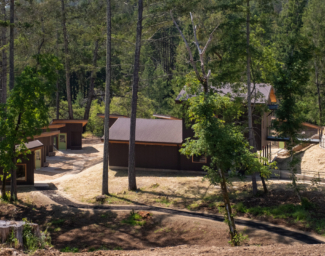 Seen from slightly above, cabins at EHC surrounded by redwood trees