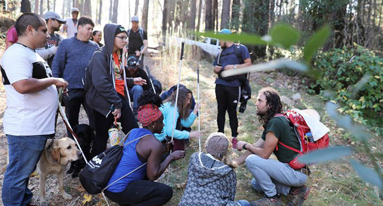 A group of blind and low vision campers with their white canes and guide dogs, exploring flora at EHC while the sun-rays peeking through redwood trees fill the background.