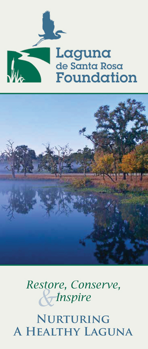 The Laguna de Santa Rosa Foundation logo, which features a bird flying over a wetland. Below that is a photo of the wetlands, and below that, the phrase “Restore, Conserve & Inspire: Nurturing a Healthy Laguna”.