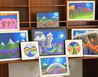 A collection of colorful scenic nature paintings in varying sizes placed on a large bookcase