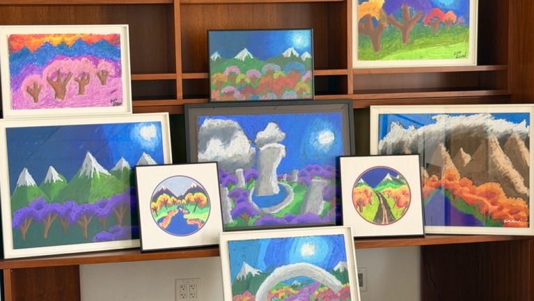 A collection of colorful scenic nature paintings in varying sizes placed on a large bookcase