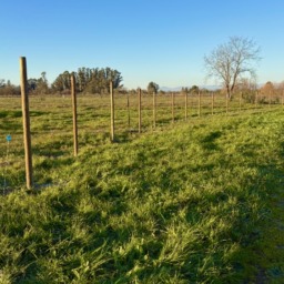 The fence in a grassy field at Earle Baum Campus in Santa Rosa, CA