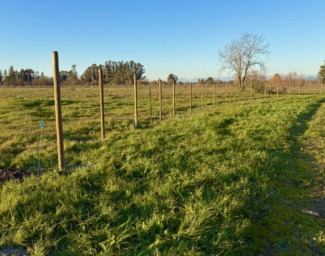The fence in a grassy field at Earle Baum Campus in Santa Rosa, CA
