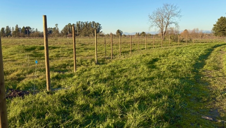 The fence in a grassy field at Earle Baum Campus in Santa Rosa, CA