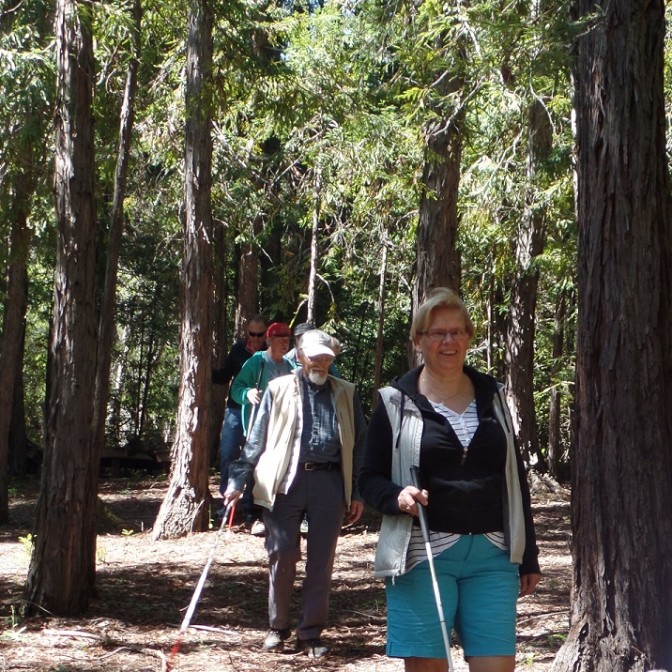 Students walk along wooded path at Enchanted Hills Retreat