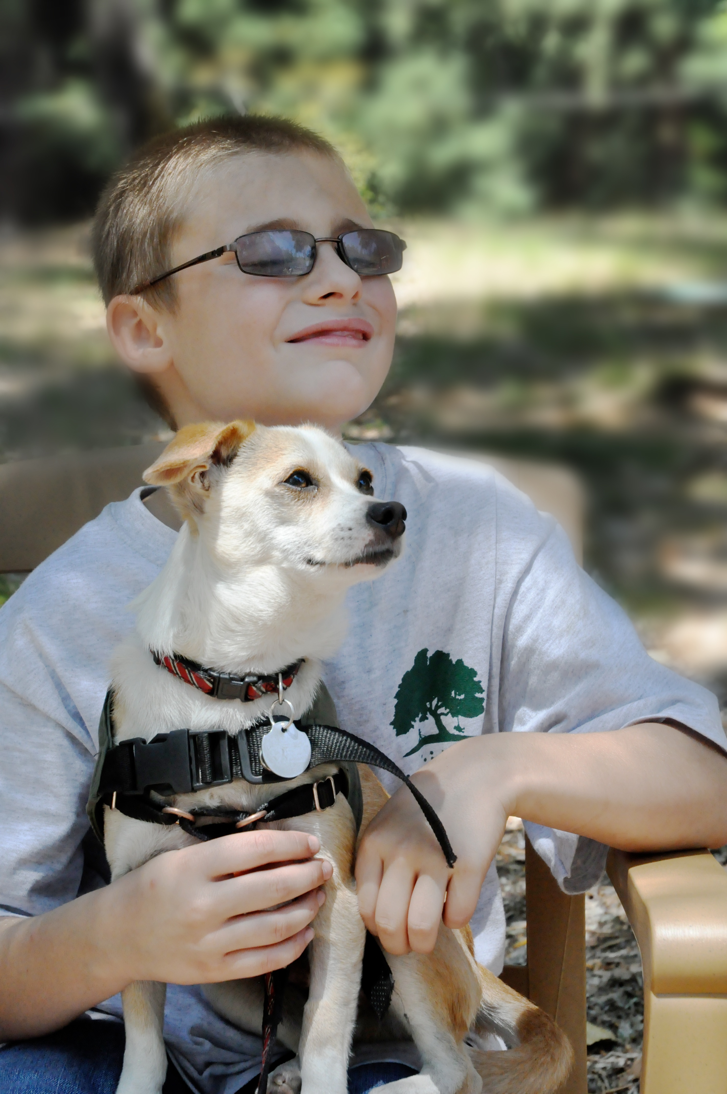 Young camper David DeGrande holds a dog visiting through 4PAWS