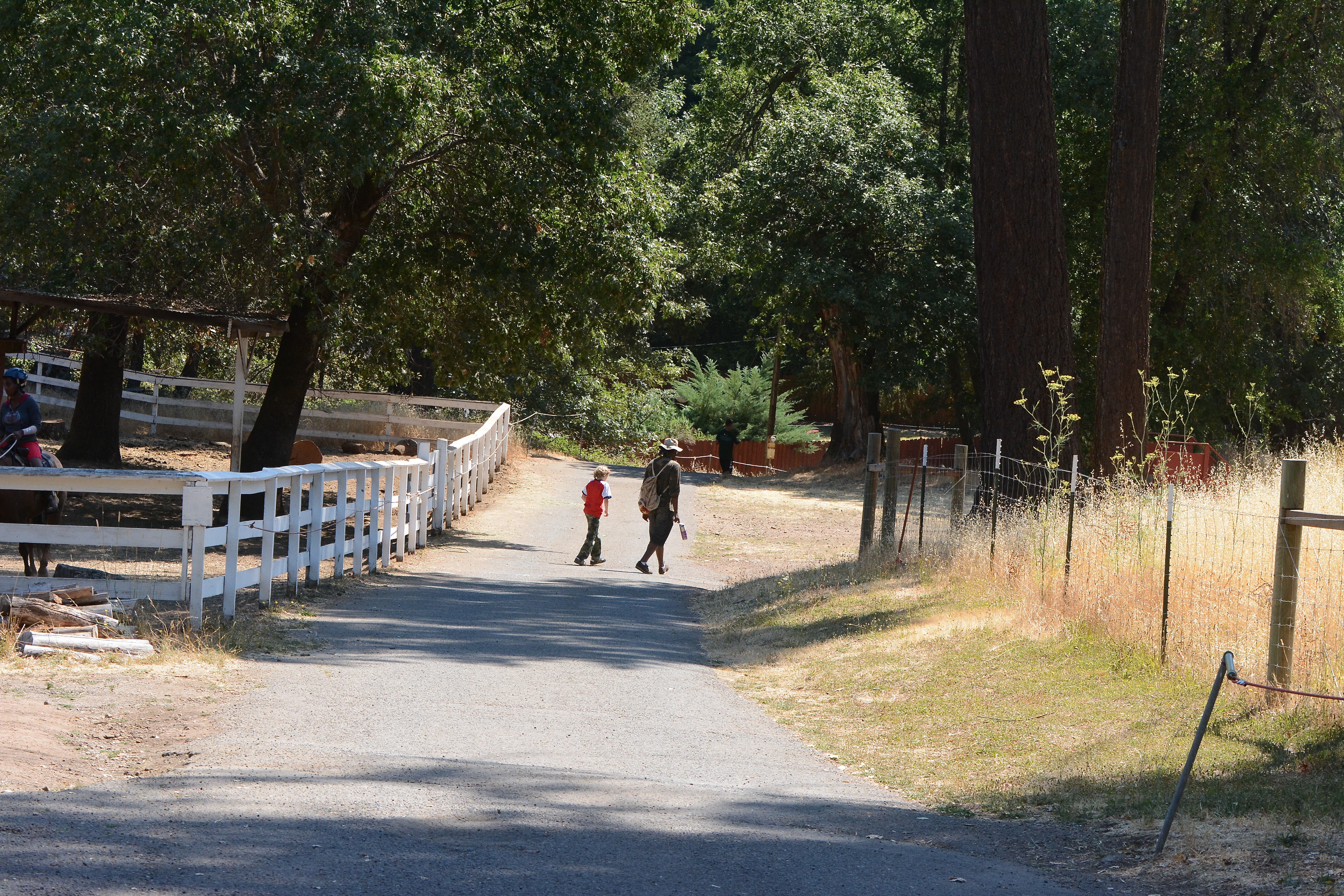 Young camper walks with a counselor down a peaceful path surrounded by green trees and a white picket fence at Enchanted Hills Camp.