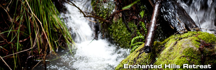 Rippling stream surrounded by lush fern and moss at Enchanted Hills Retreat