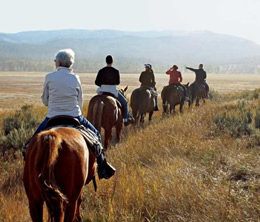 LightHouse students on horseback