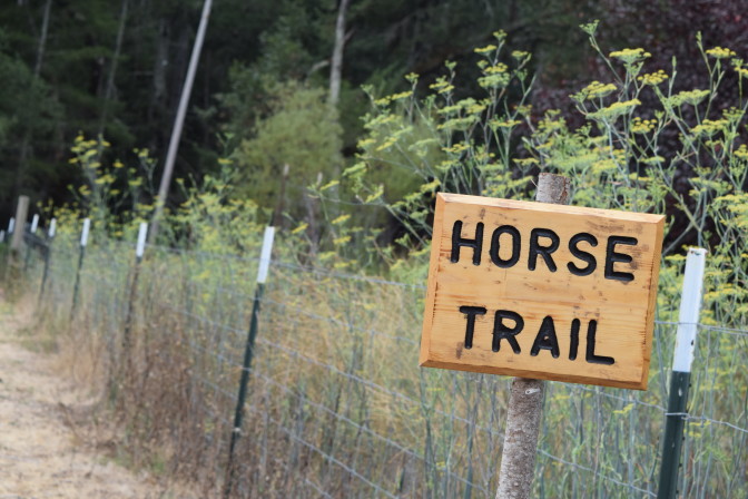 Sign designating a horse trail at Enchanted Hills