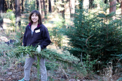 EHC Volunteer Heather smiles at the camera holding a bunch of invasive plant material that she has removed from the forest.
