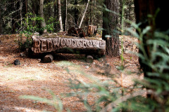 Words Redwood engraved on a log of the redwood tree at the entrance of theater in Enchanted Hills Retreat.